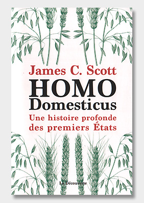 Homo-domesticus