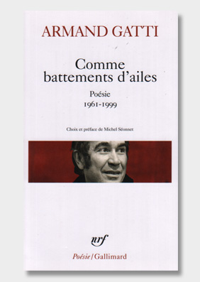 Comme-des-battements-d'ailes