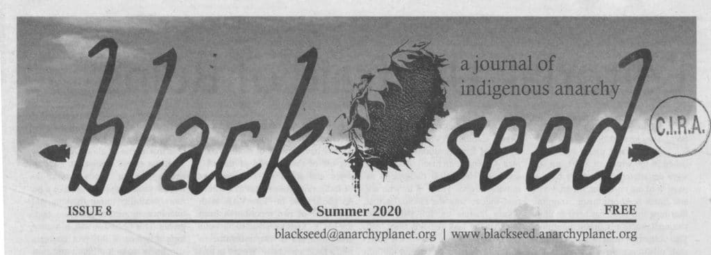 Black Seed