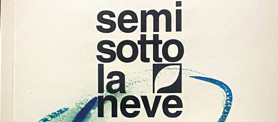 Semi-sotto-la-neve